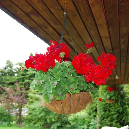 Pod Bandera Bed & Breakfast Zakopane