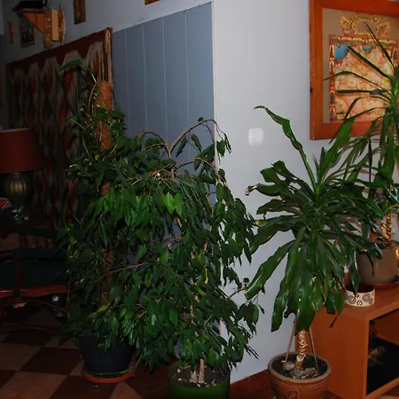 Bed & Breakfast Pod Bandera 3*