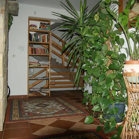Pod Bandera 3* זקופאנה