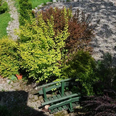 Pod Bandera 扎科帕内