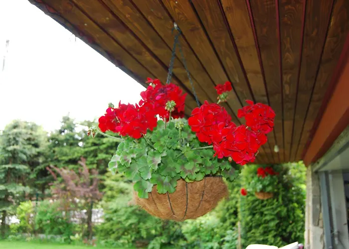 Pod Bandera Bed and breakfast Zakopane